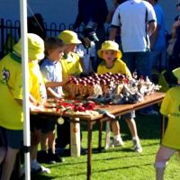 1620619 741365969215549 895120209 n