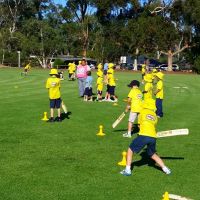 1622611 741366099215536 955394518 n